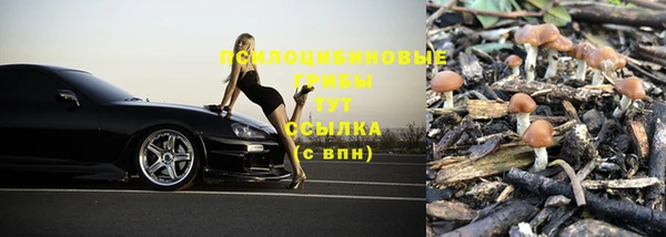 МДПВ Абинск