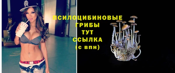 скорость Абаза