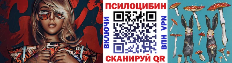 Псилоцибиновые грибы ЛСД  где можно купить   Чита 