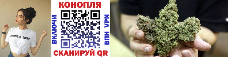 дарнет шоп  Чита  мега зеркало  Конопля OG Kush 